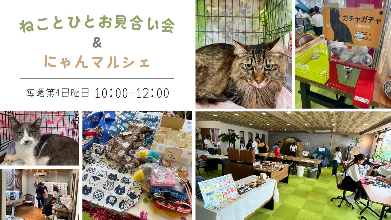 【第10回】 ねことひとお見合い会&にゃんマルシェ